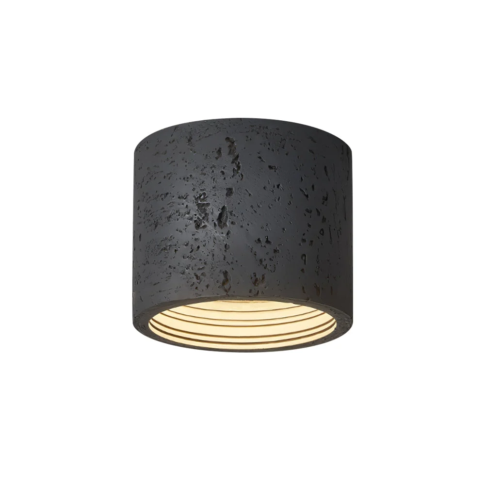 Zwart plafondlamp