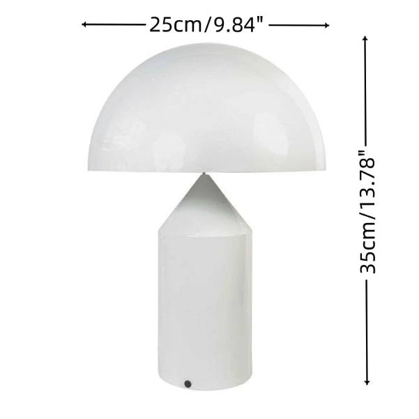 Diameter 25 cm x Height 35 cm