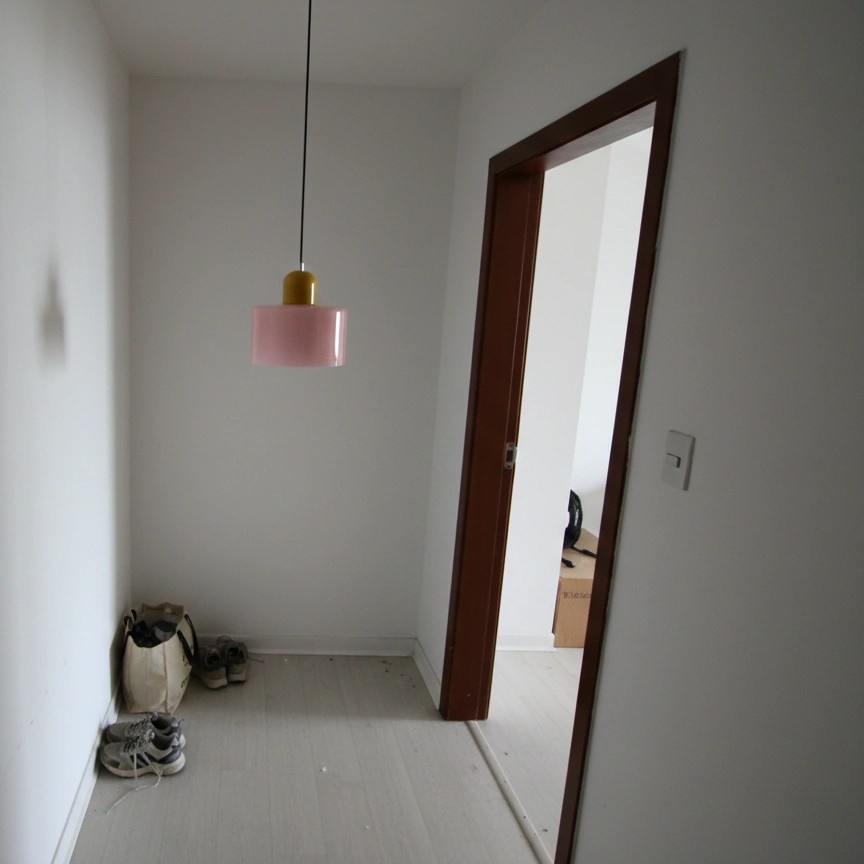 Fotorecensie van een Morandi hanglamp