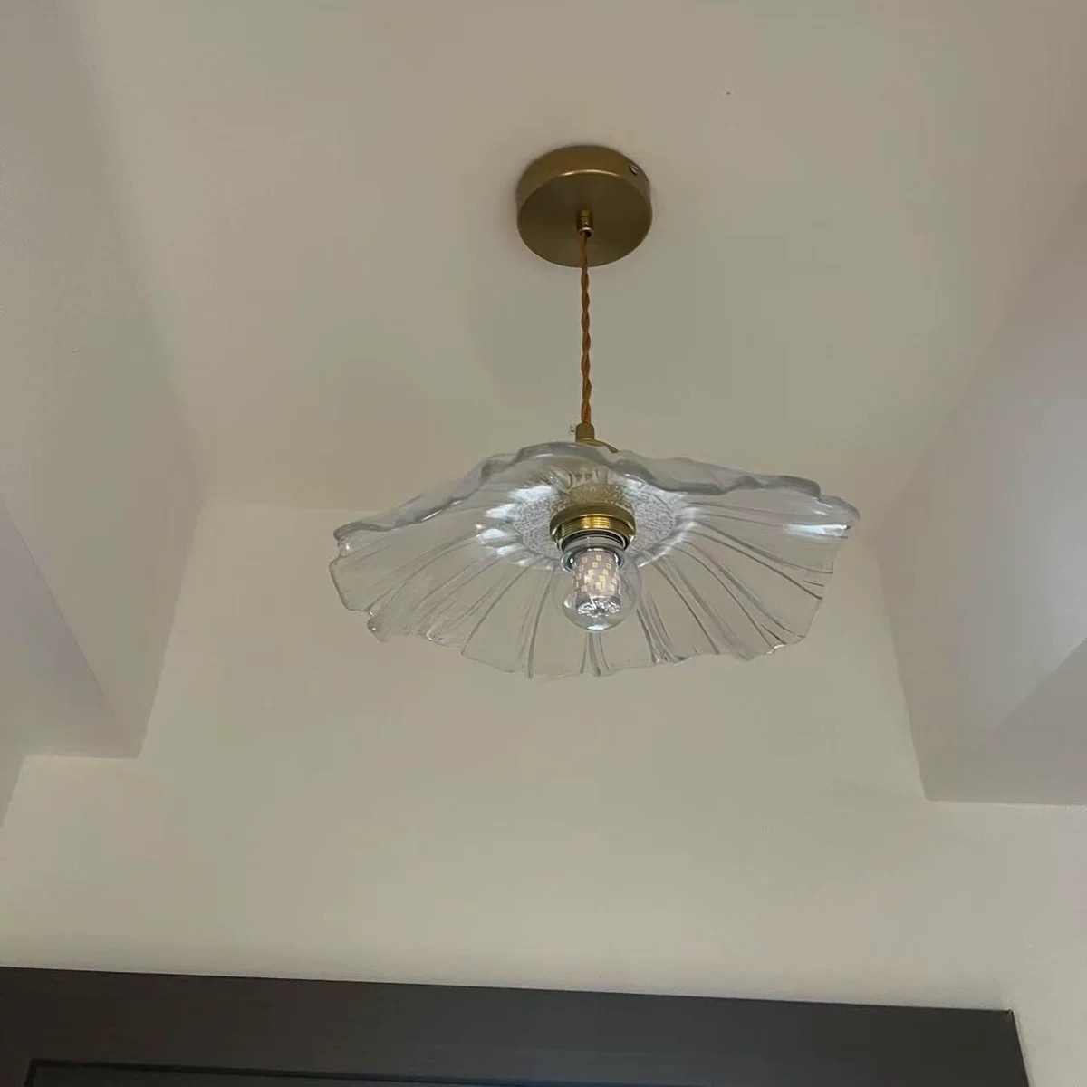 Fotorecensie van transparante Lotus hanglamp