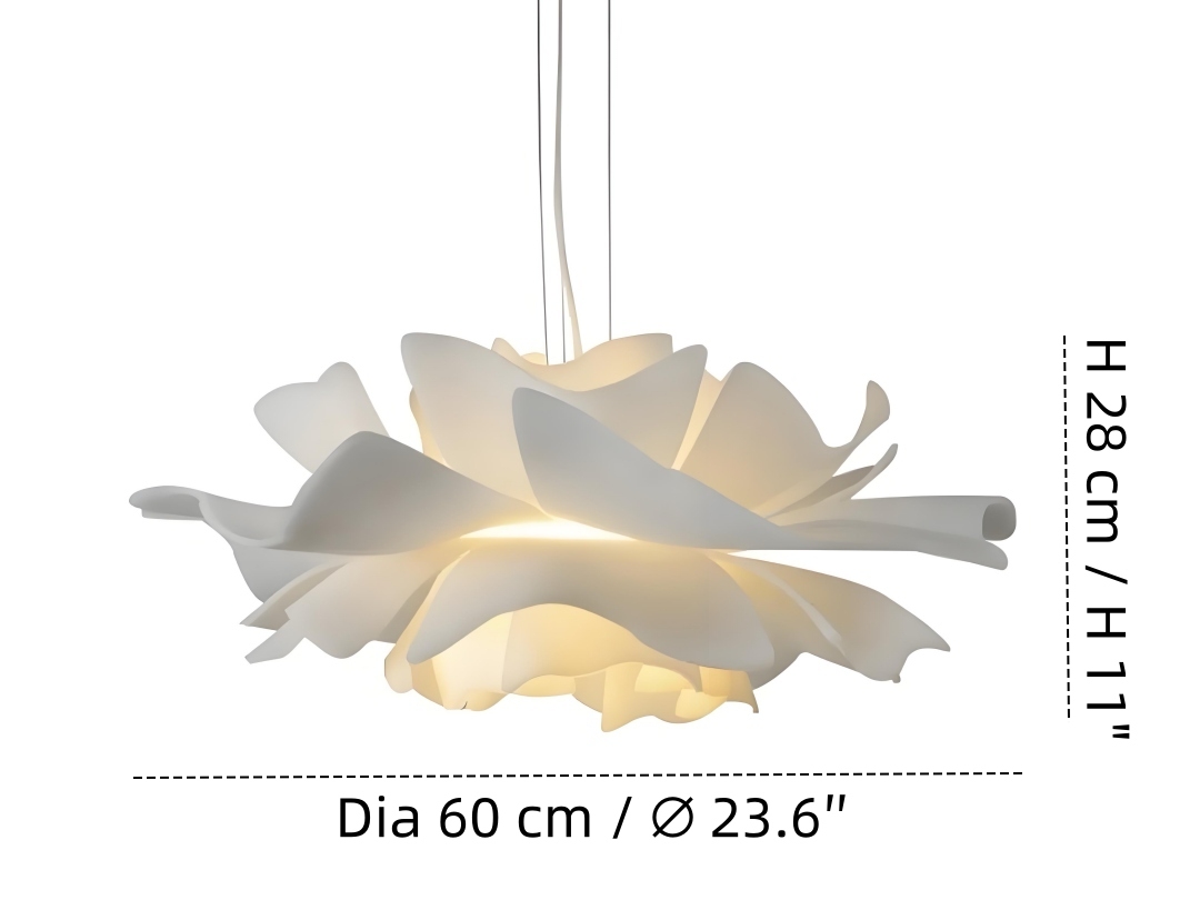 Diameter 60 cm × Hoogte 25 cm
