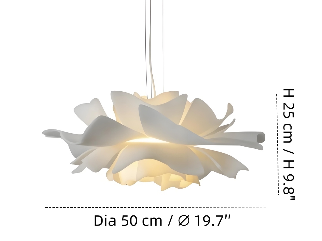 Diameter 50 cm × Hoogte 25 cm
