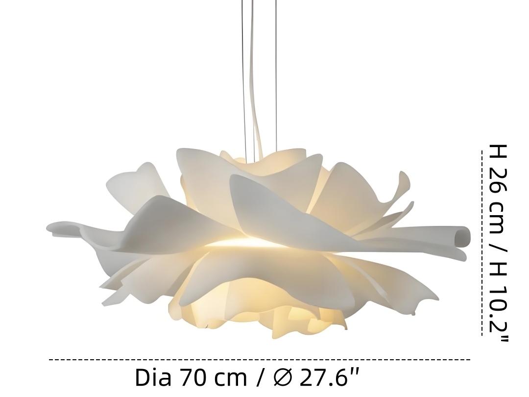 Diameter 70 cm × Hoogte 25 cm